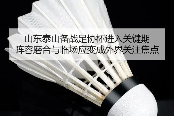 山东泰山备战足协杯进入关键期 阵容磨合与临场应变成外界关注焦点